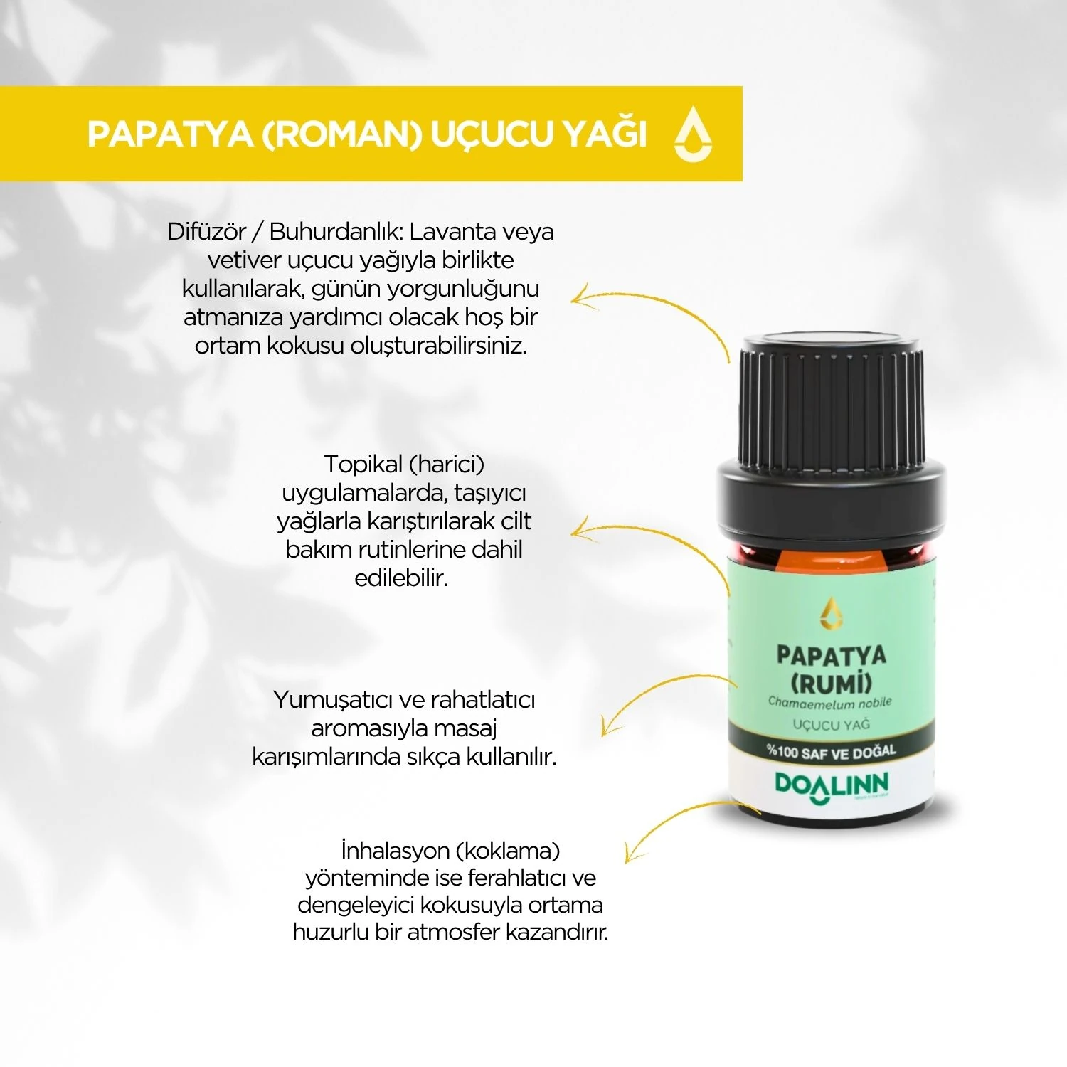 Papatya (Roman) Uçucu Yağı (Anthemis nobilis)