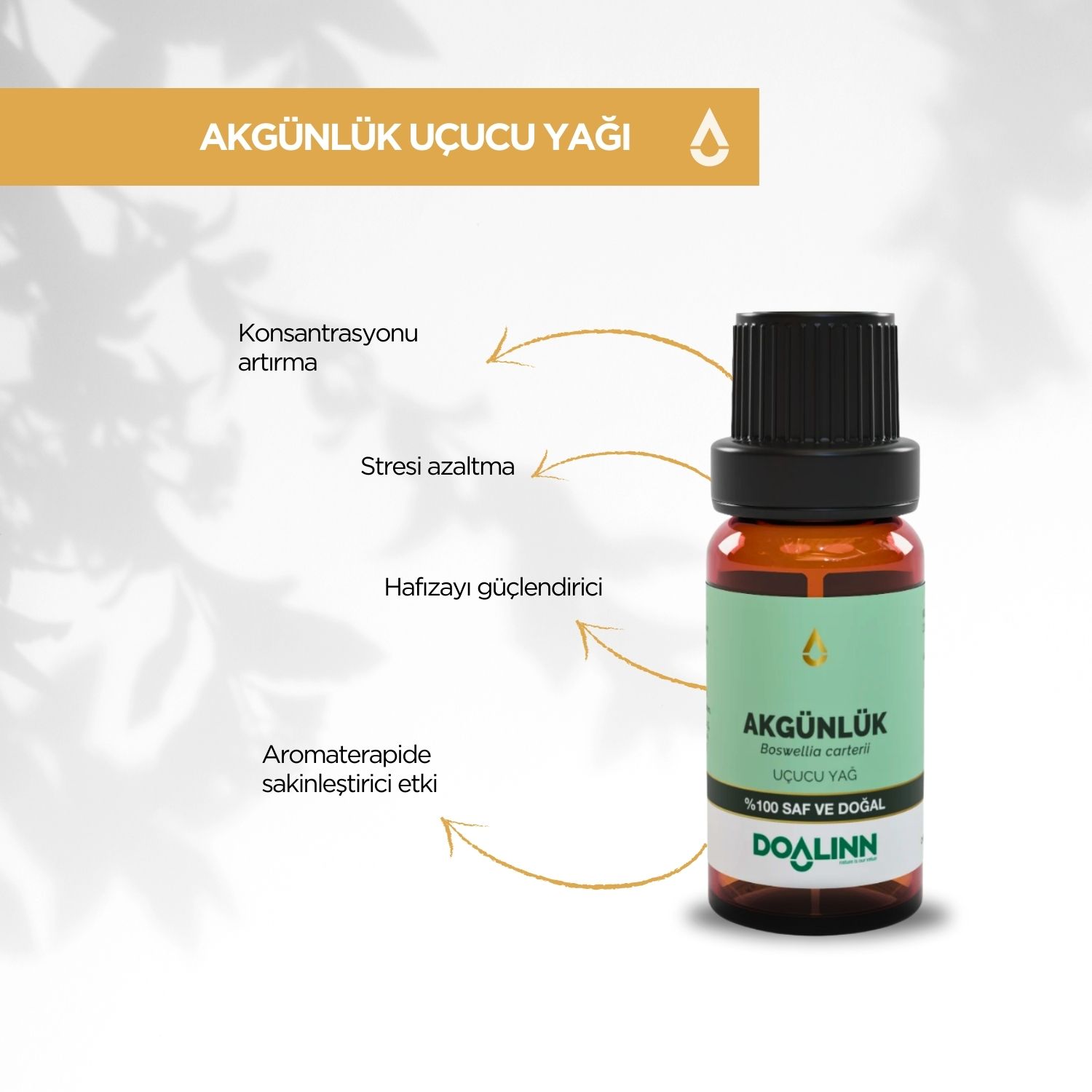 Akgünlük Uçucu Yağı (Boswellia carterii) 10 ml.