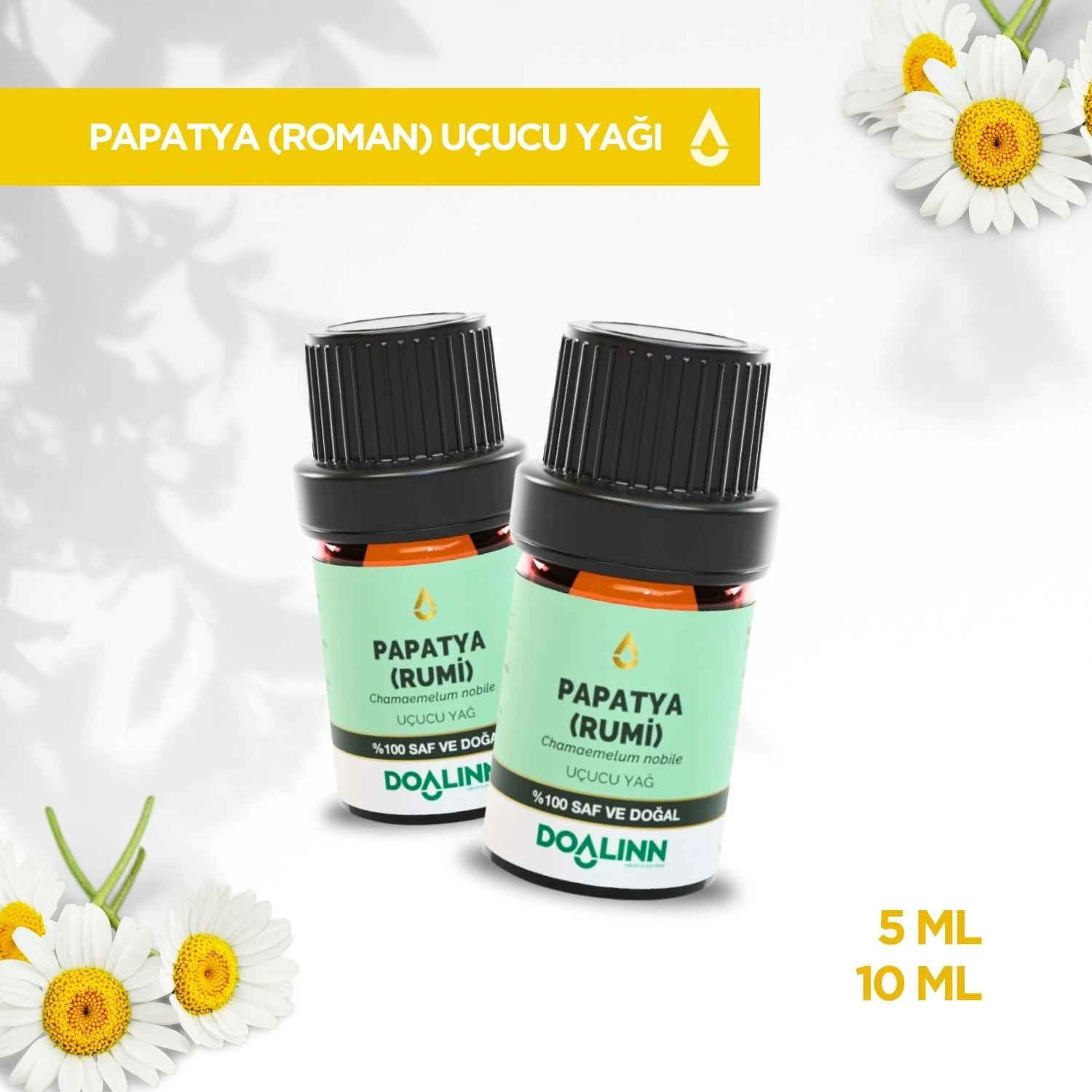 Papatya (Roman) Uçucu Yağı (Anthemis nobilis)