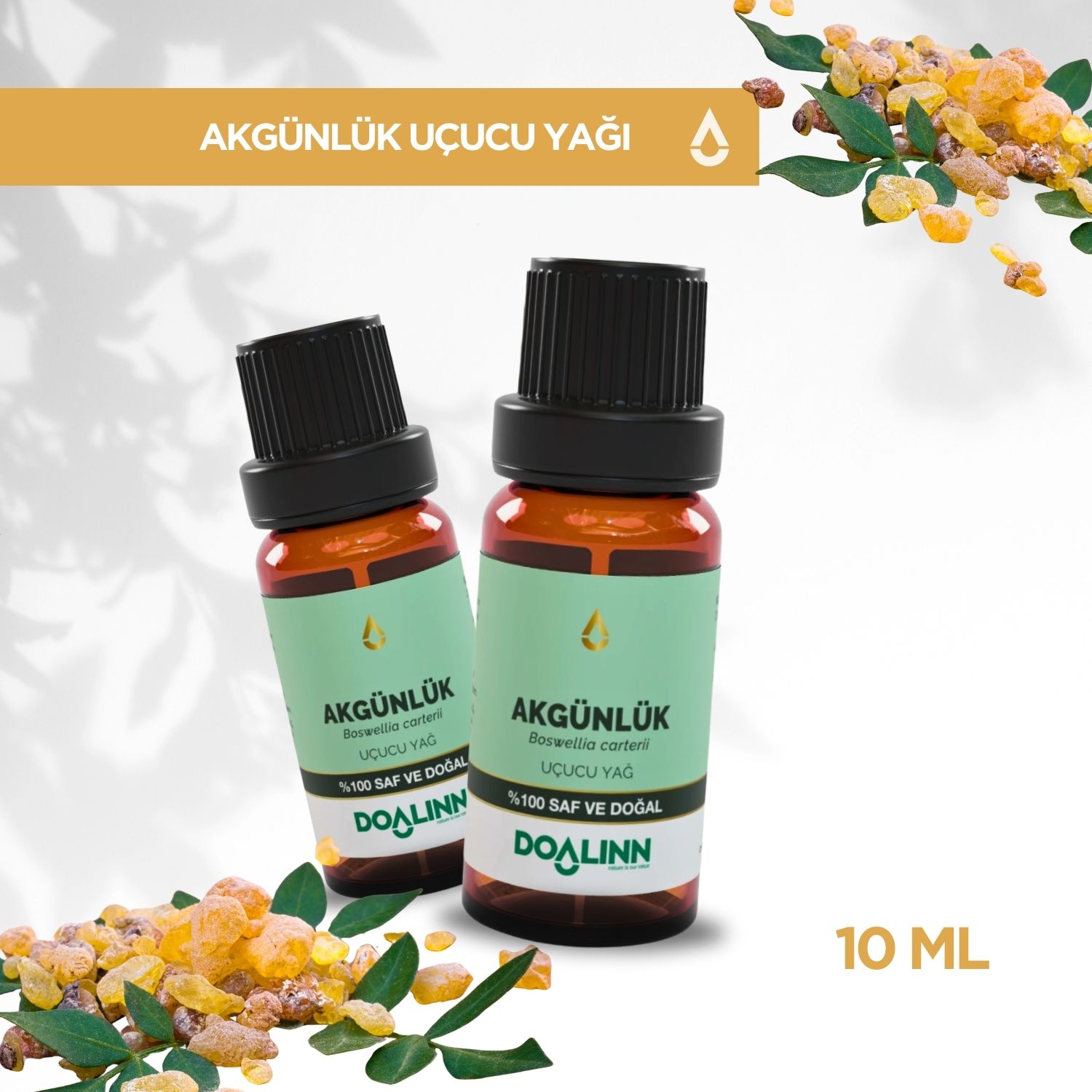 Akgünlük Uçucu Yağı (Boswellia carterii) 10 ml.