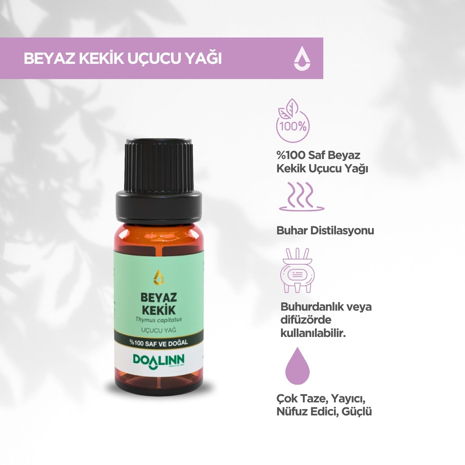 Beyaz Kekik Uçucu Yağı (Thymus capitatus) 10 ml.