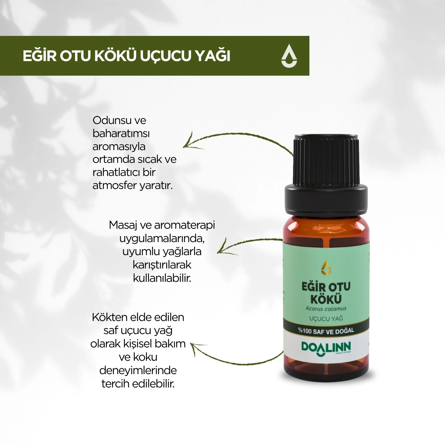 Eğir Otu Kökü Uçucu Yağı (Acorus calamus) 10 ml.