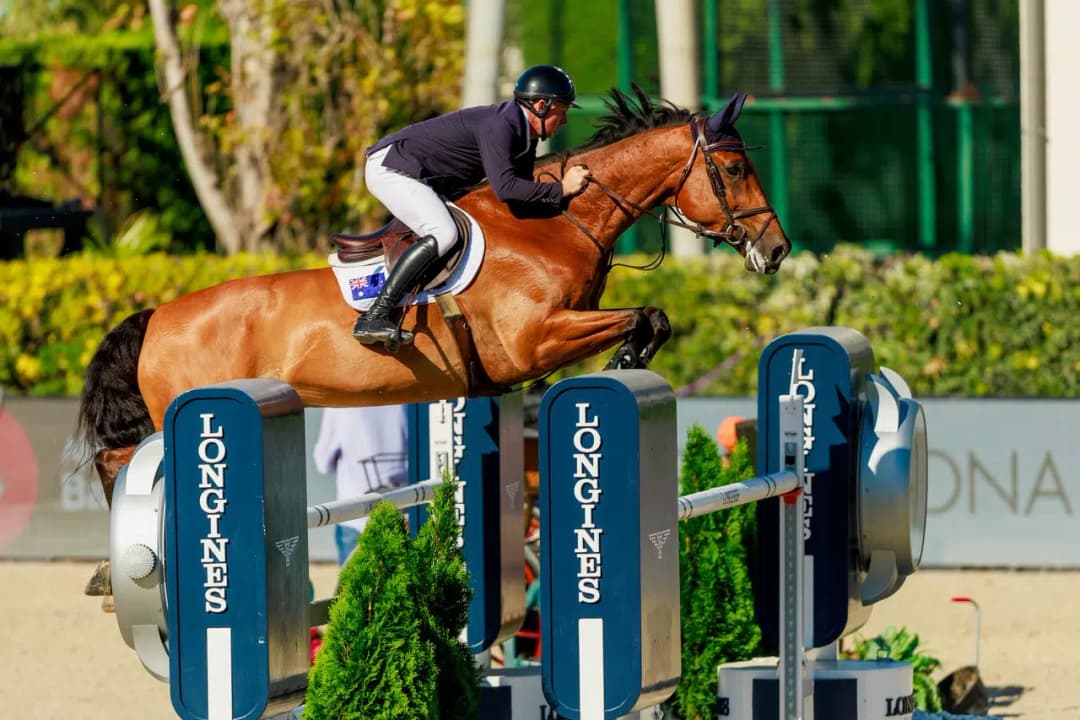 JESSICA SPRINGSTEEN