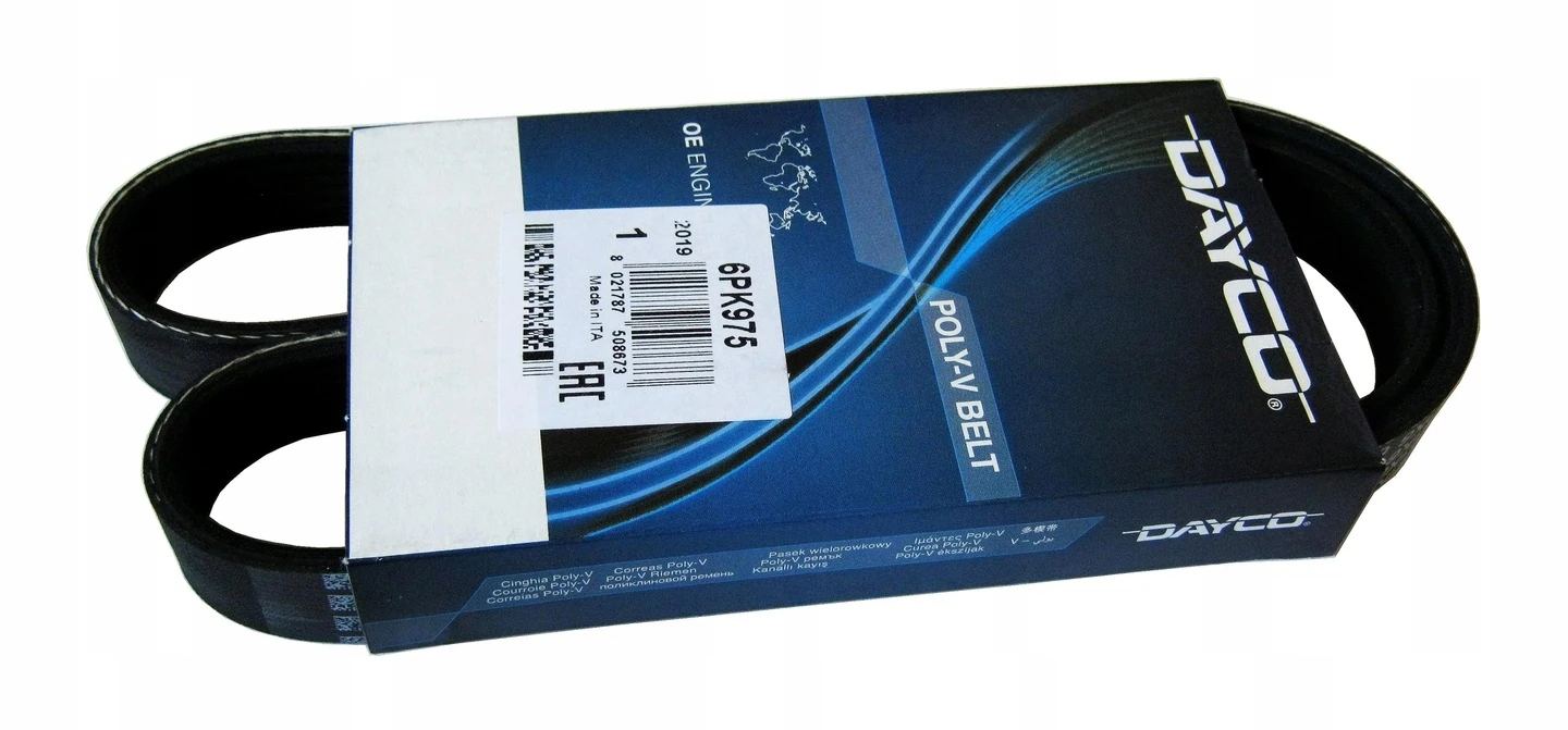 FOCUS 1.6 TDCİ-V KAYIŞI 2006-2008-CONTİ-DAYCO