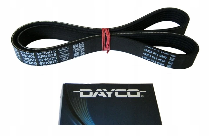 FOCUS 1.6 TDCİ-V KAYIŞI 2006-2008-CONTİ-DAYCO