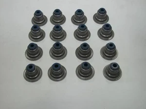 Ford sibop lastiği takımı 1.6 ecoboost - ORJİNAL