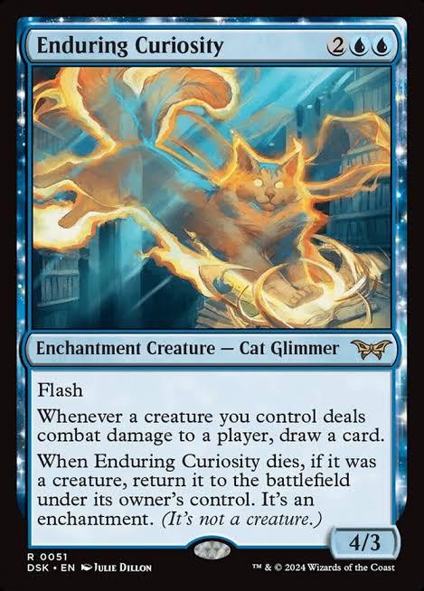 Enduring Curiosity DSK R-0051