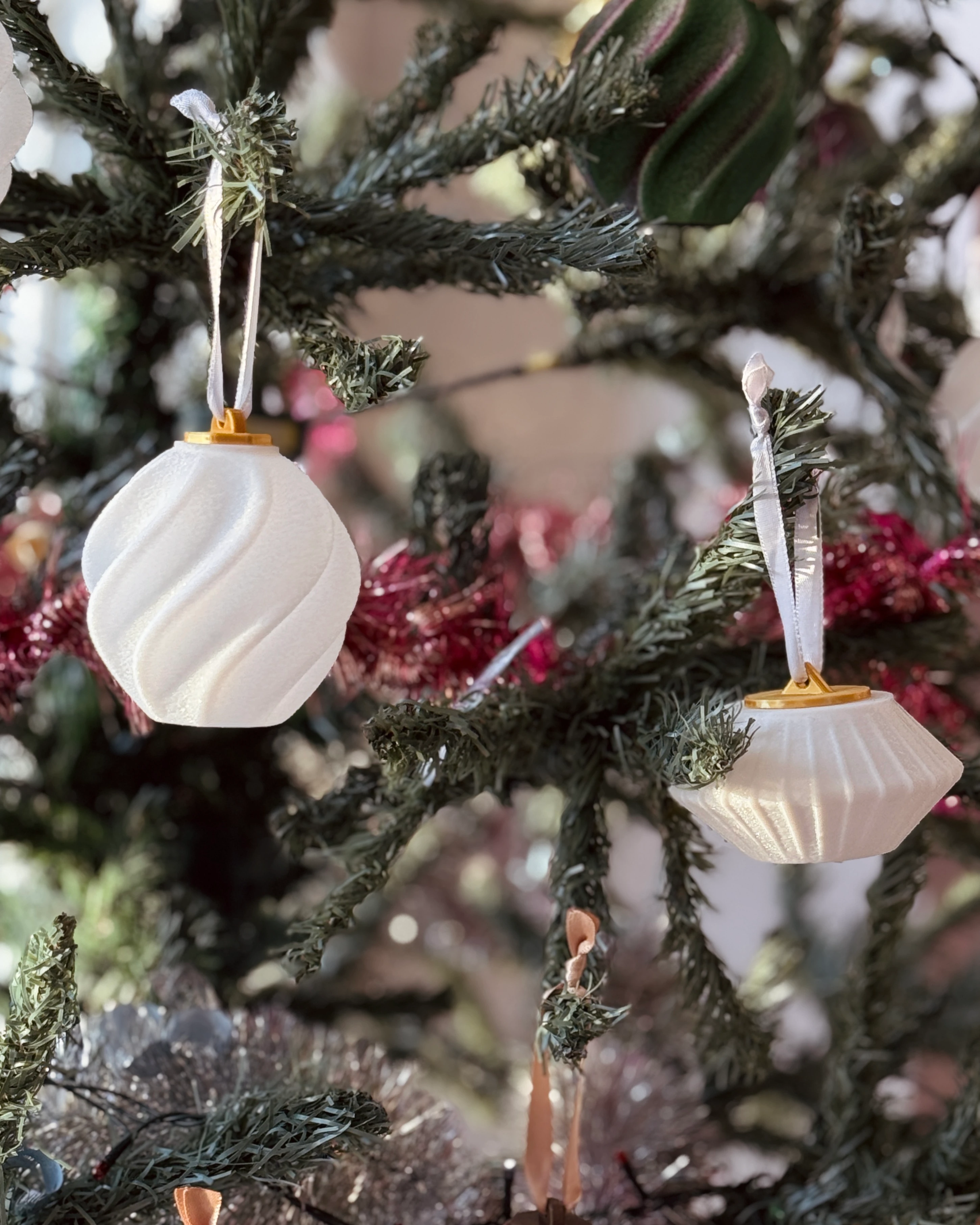 6'lı Jolly Nova Charm