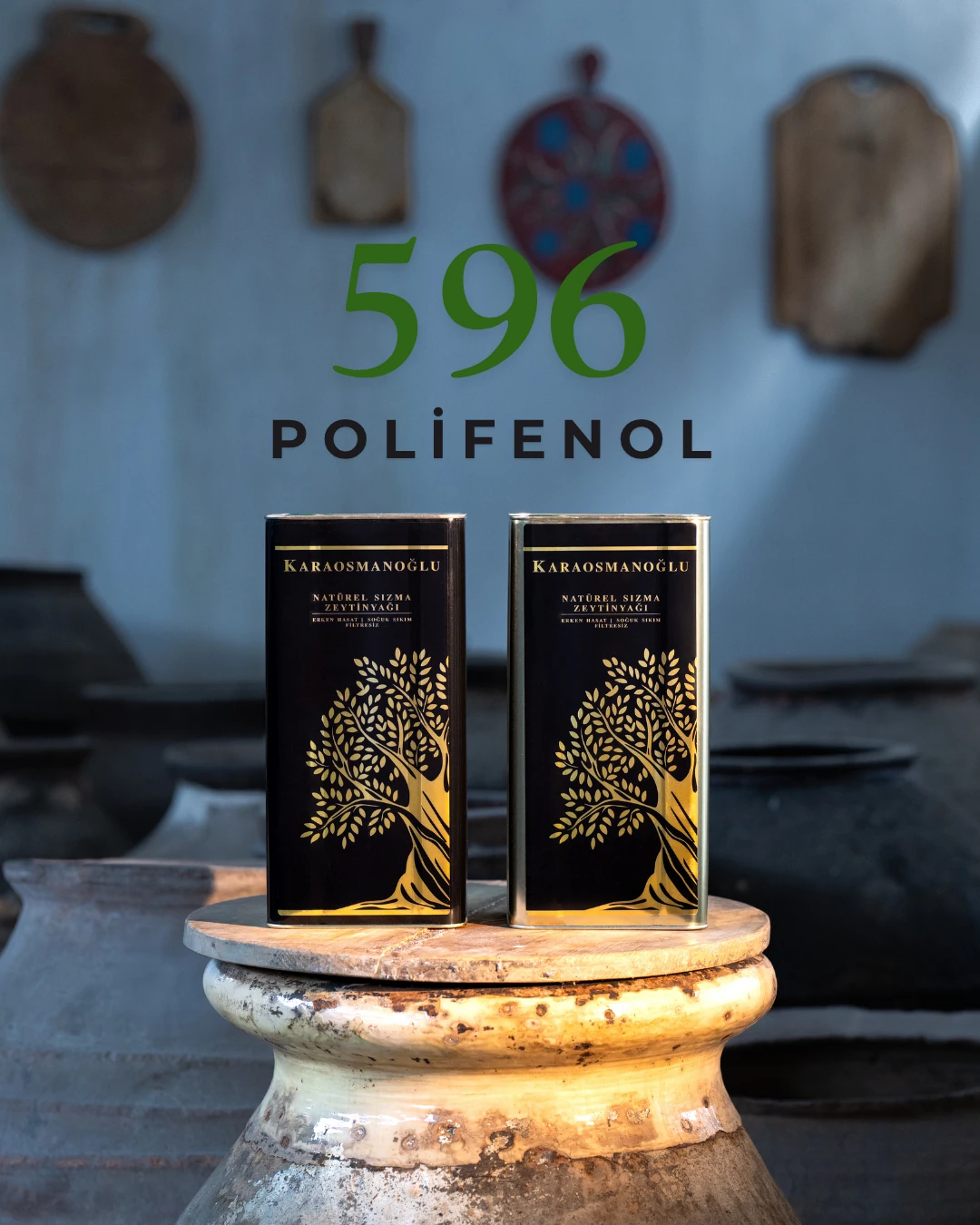 596 Polifenol Özel Seri Natürel Sızma Zeytinyağı 3LT