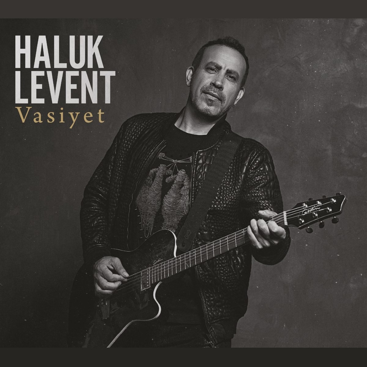 Haluk Levent Vasiyet (Plak)