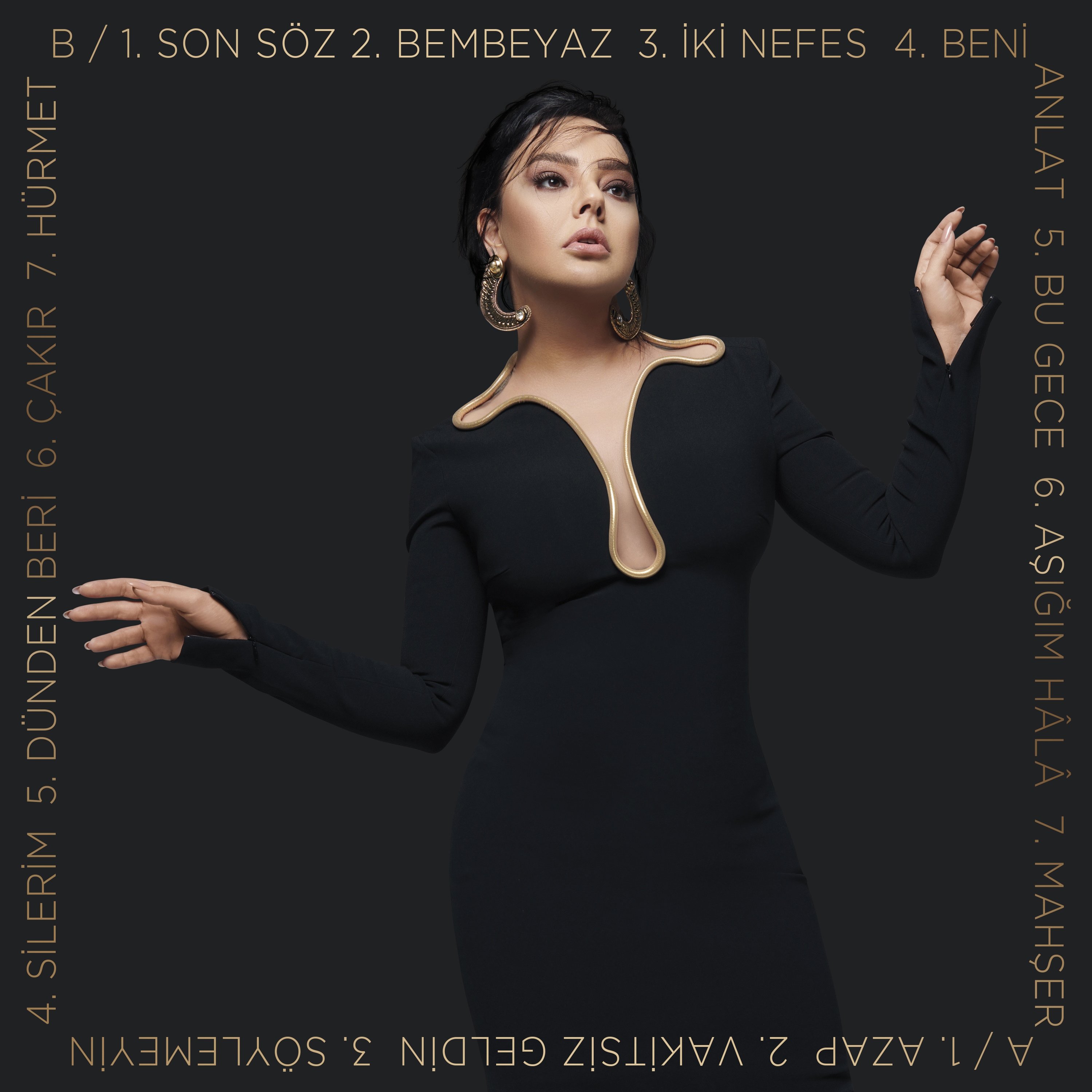 Ebru Gündeş Aşığım Hâlâ (Plak)