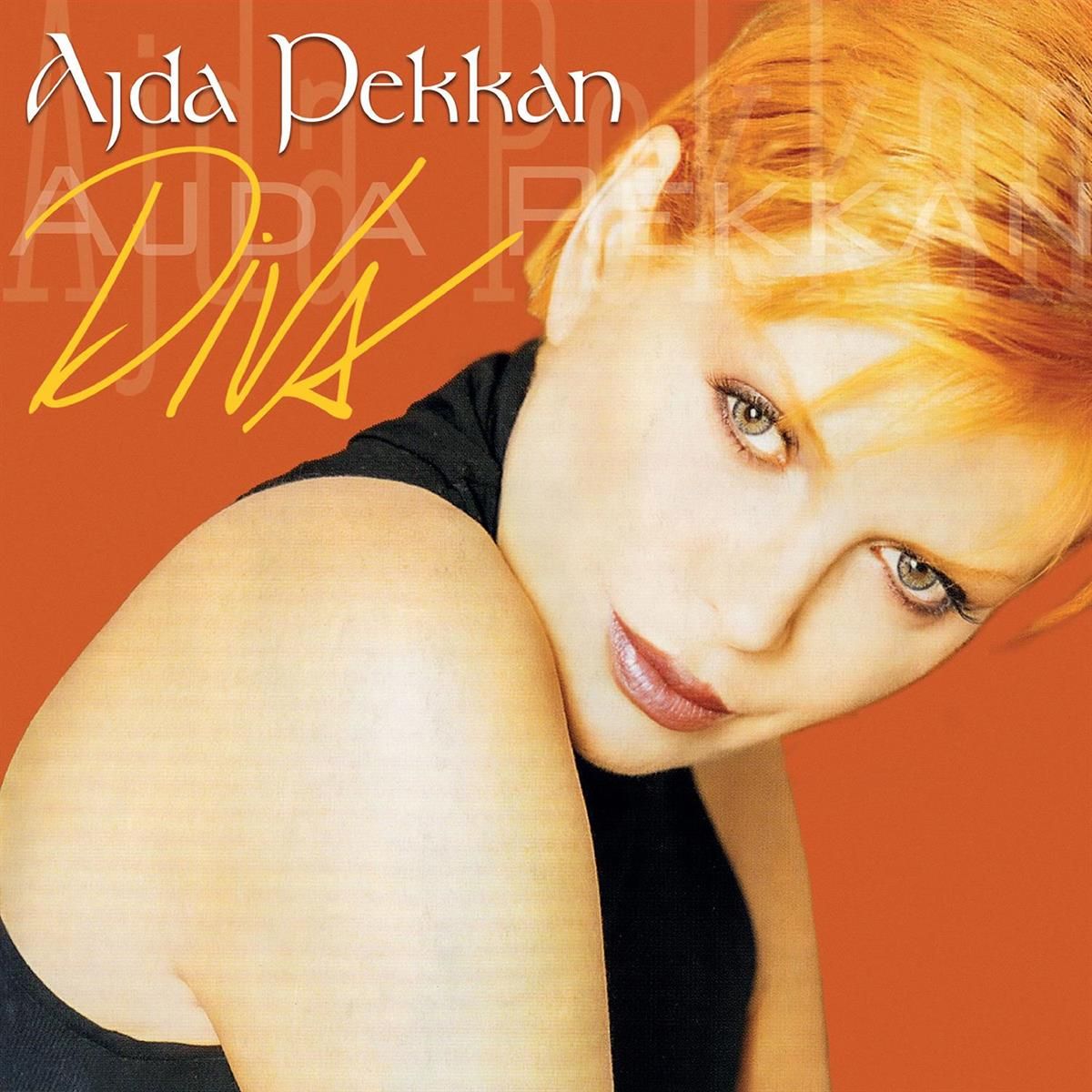 Sora Plak Ajda Pekkan Diva (2 Plak)