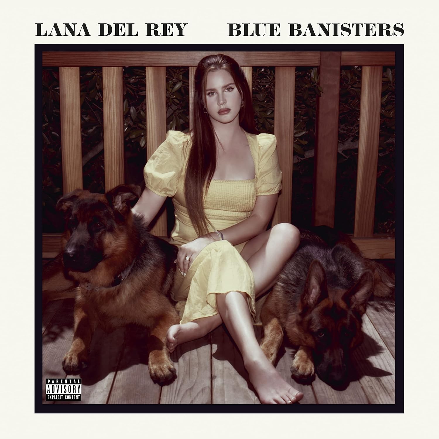 Lana Del Rey Blue Banisters (2 Plak)