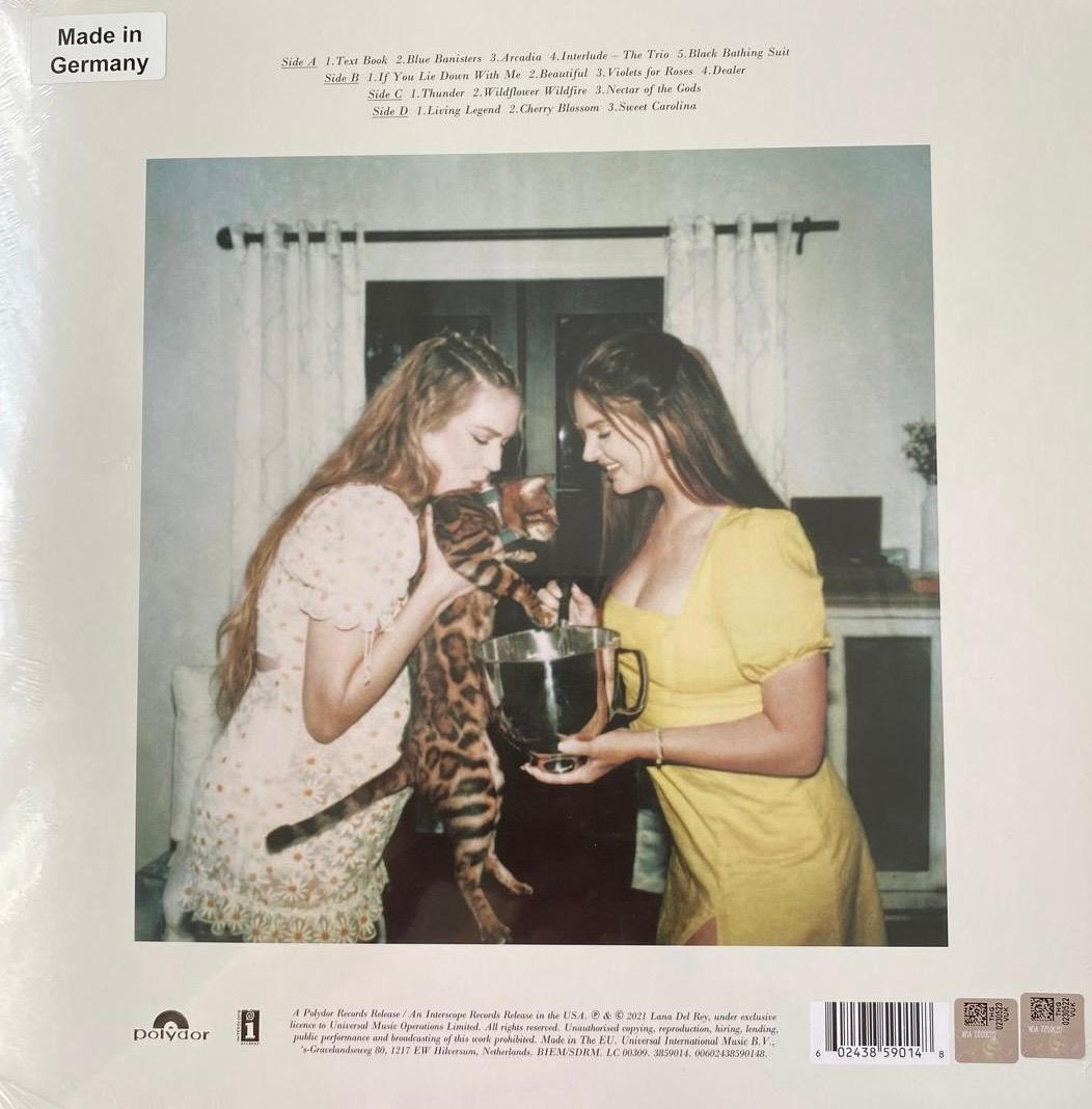 Lana Del Rey Blue Banisters (2 Plak)