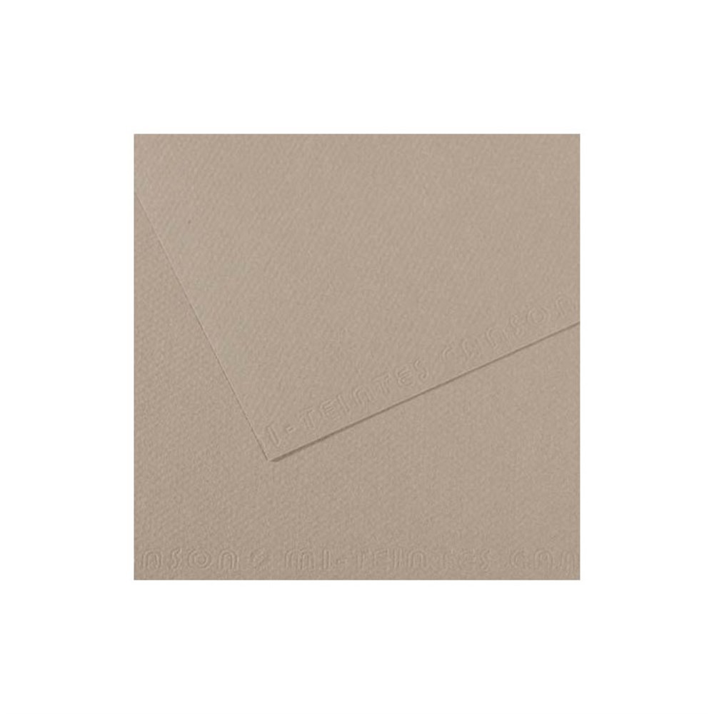 Canson Mi-Teintes Pastel Kağıdı 50x65 160g Grey 122