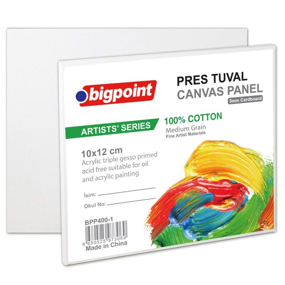 Bigpoint Press Tuval 10x12