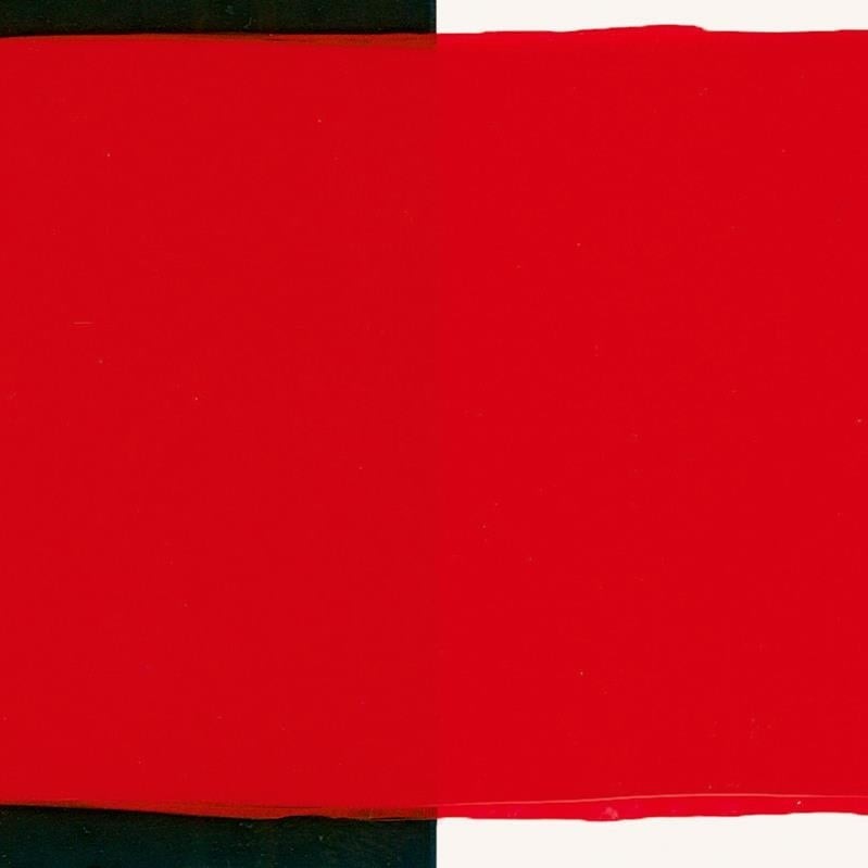 Schmincke Primacryl Artist Akrilik Boya 344 Cadmium Red Medium Hue 60 ml