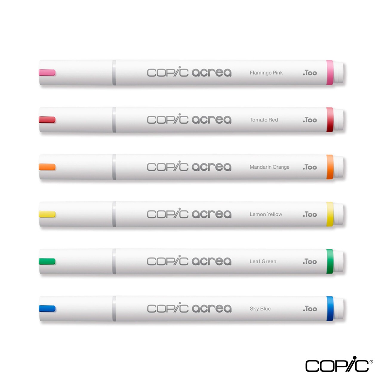 Copic Acrea Marker 6'lı Set Vivid
