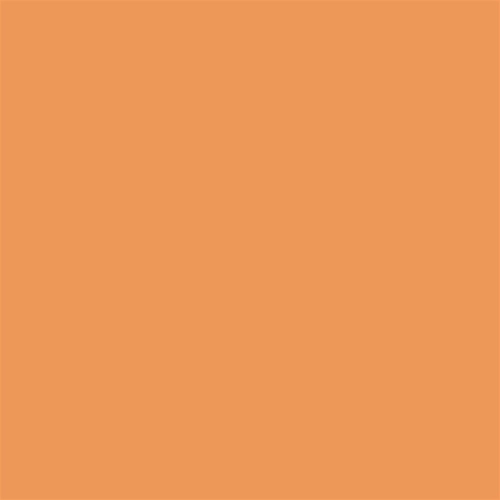 Winsor & Newton Promarker Grafik Kalemi 287 Ginger O136