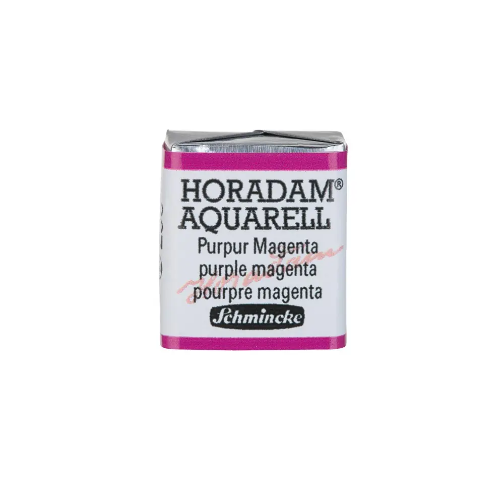 Schmincke Horodam Boîte De 12 Aquarelles, HORADAM - Set De Peinture