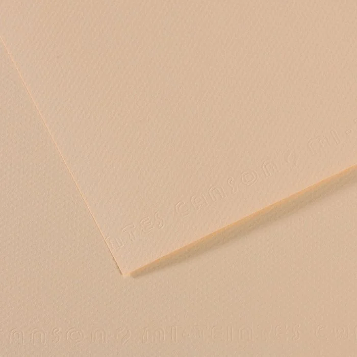 Canson Mi-Teintes Pastel Kağıdı 50x65 160g 112 - Eggshell