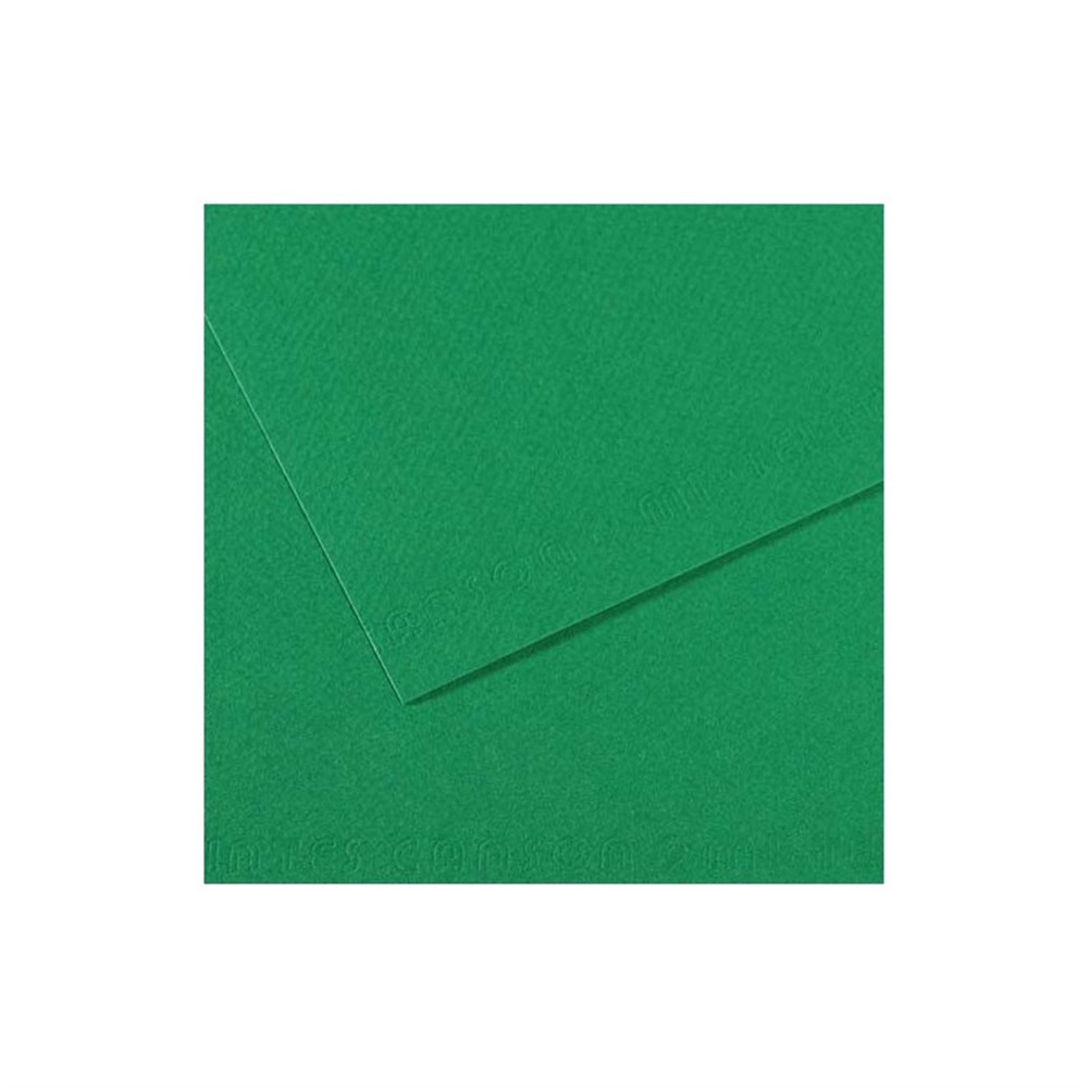 Canson Mi-Teintes Pastel Kağıdı 50x65 160g Green 575