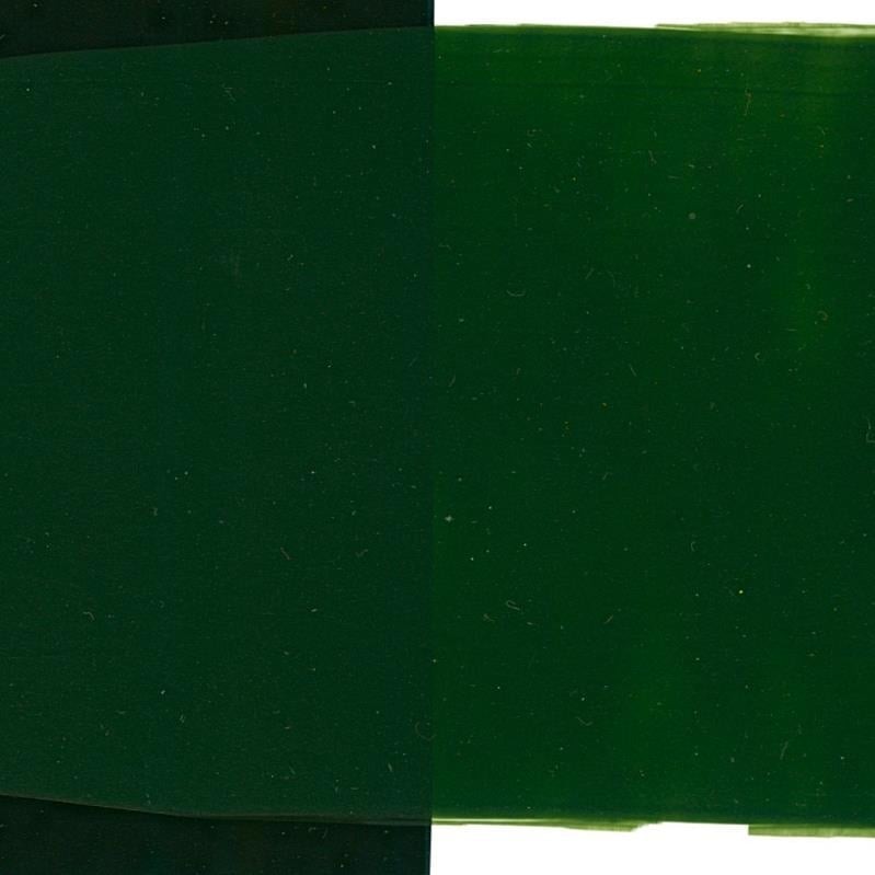 Schmincke Primacryl Artist Akrilik Boya 150 ml Seri 2 570 Sap Green