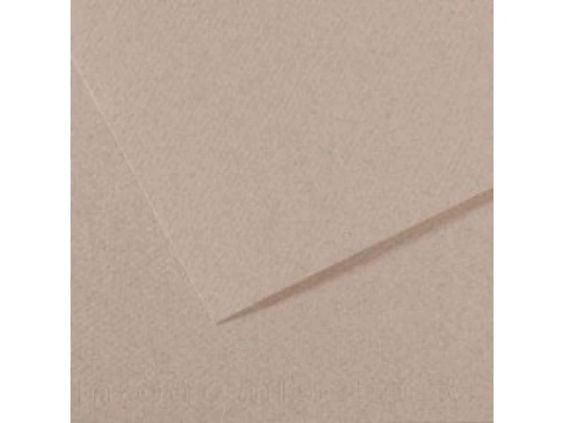 Canson Mi-Teintes Pastel Kağıdı 50x65 160g 426