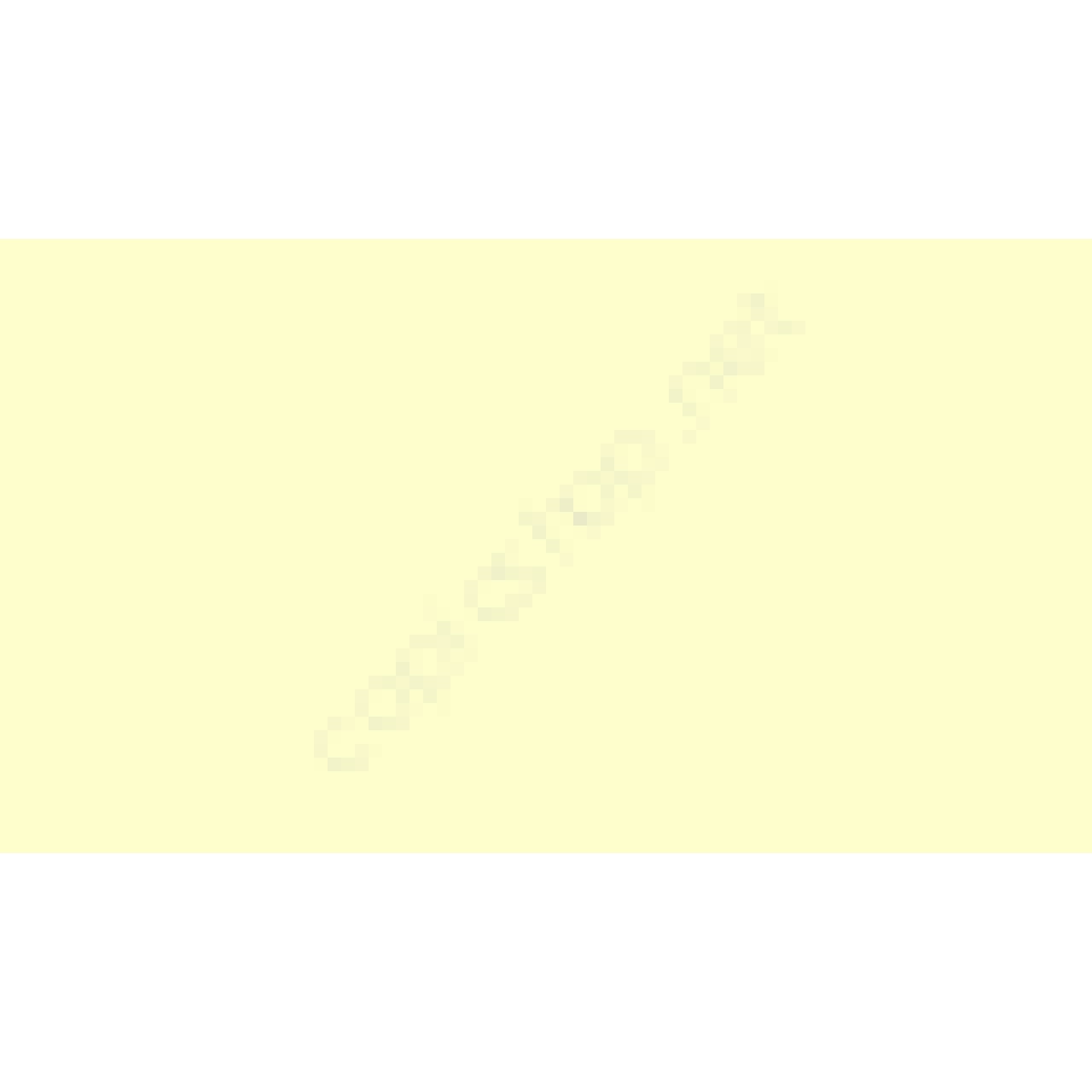 Copic Various Ink Y 11