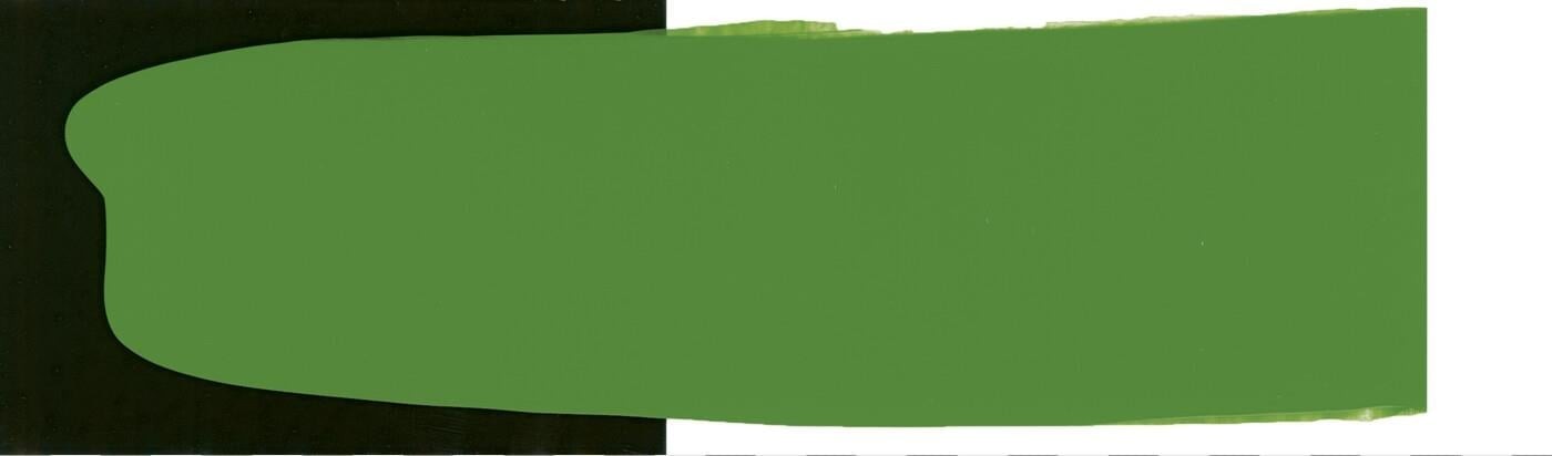 Schmincke Primacryl Artist Akrilik Boya 237 ml Seri 1 566 Olive Green