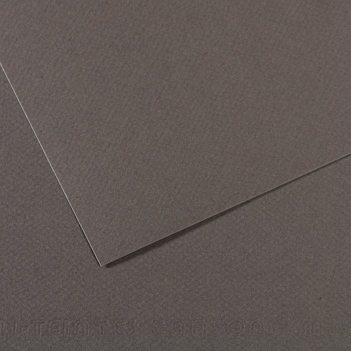 Canson Mi-Teintes Pastel Kağıdı 50x65 160g 345- Dark Grey