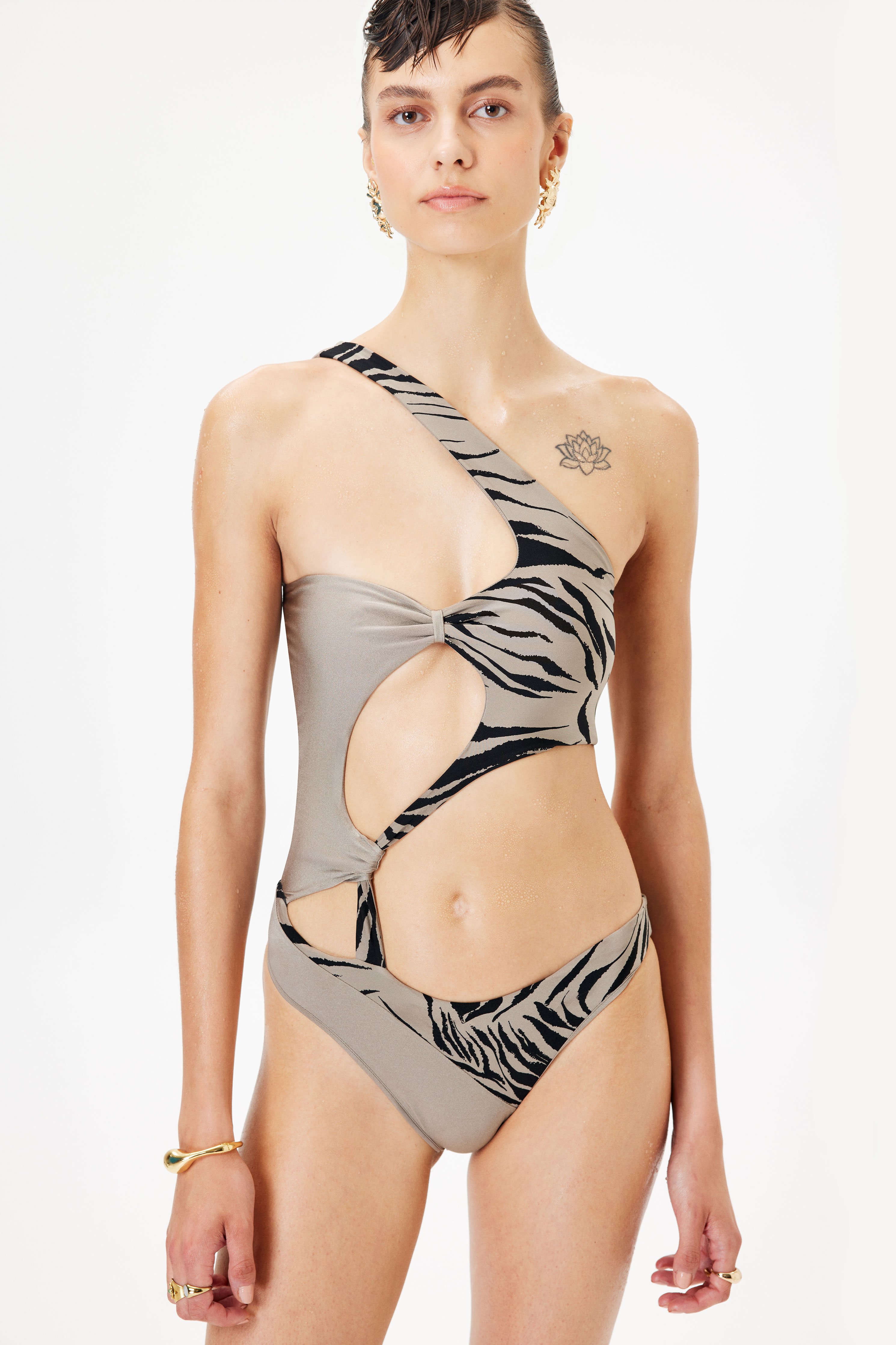 Calima Mayo - Zebra Vizon