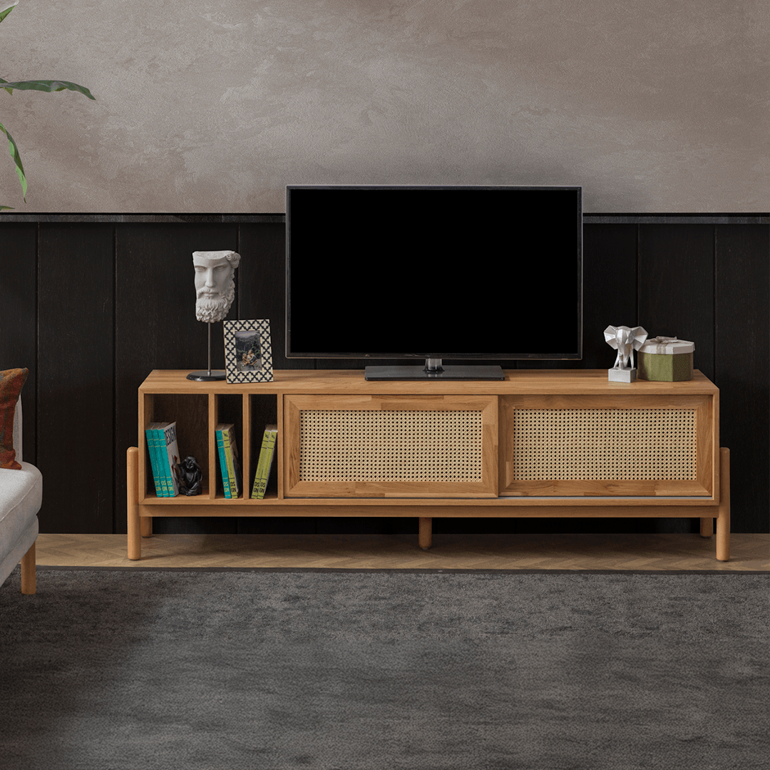 Belt TV Ünitesi