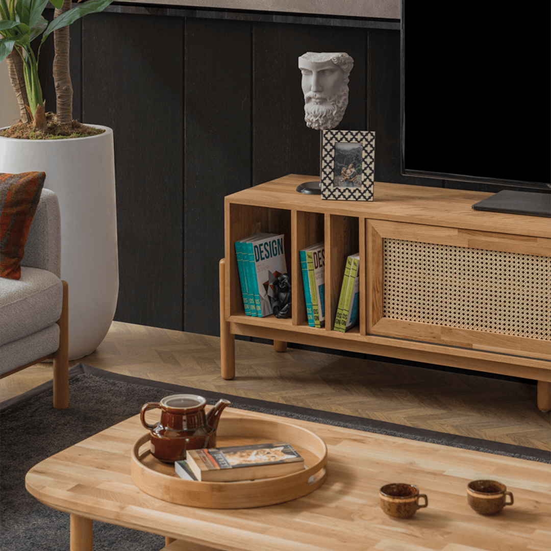 Belt TV Ünitesi