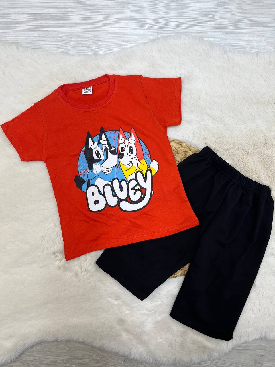 4-8 Yaş Bluey Desenli Penye Takım