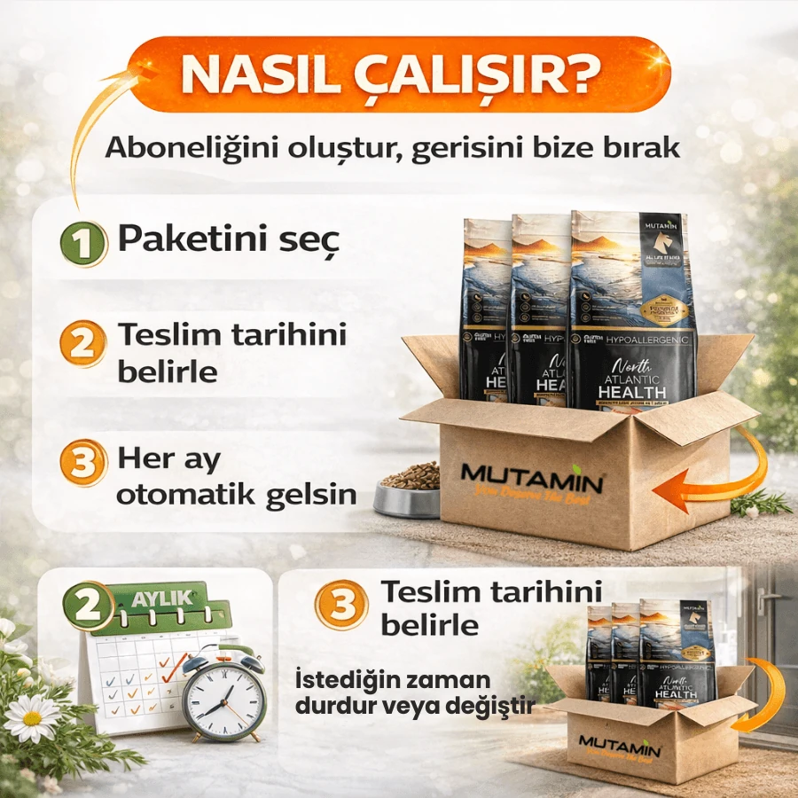 North Atlantic Health Somonlu Köpek Maması 15KG - Hipoalerjenik ve