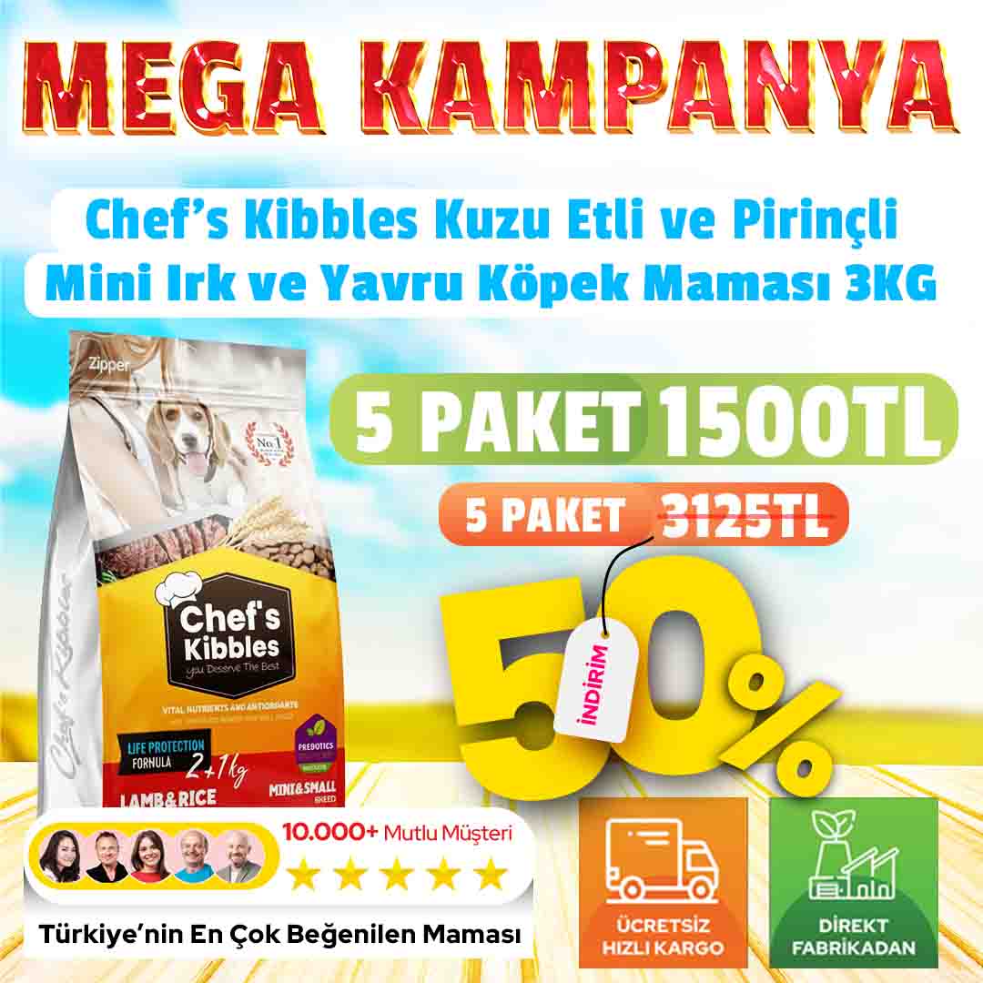 5 Paket Chef’s Kibbles – Mini Irk ve Yavru Köpek Maması Kuzu Etli Pirinçli 3KG