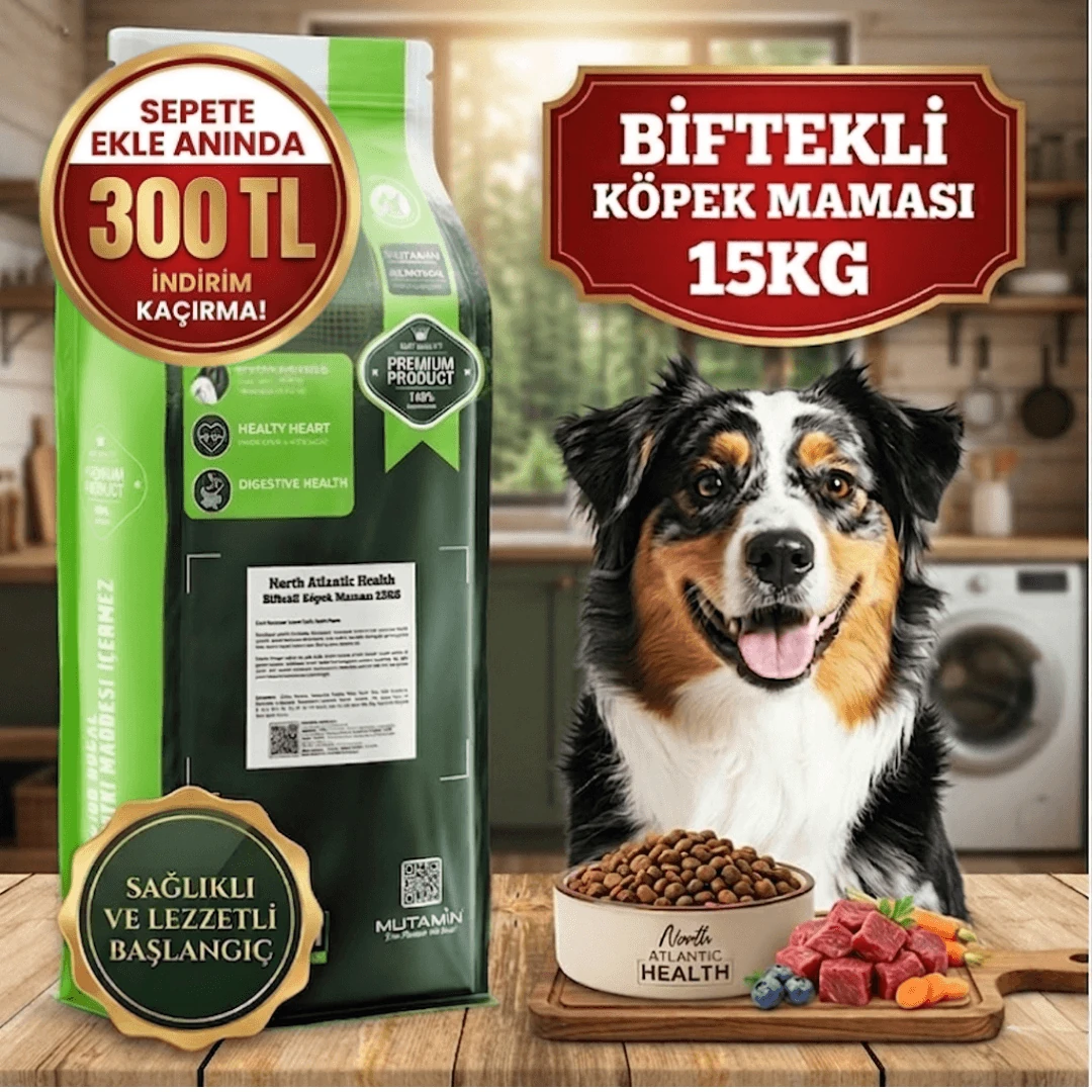 North Atlantic Health Biftekli Köpek Maması 15KG