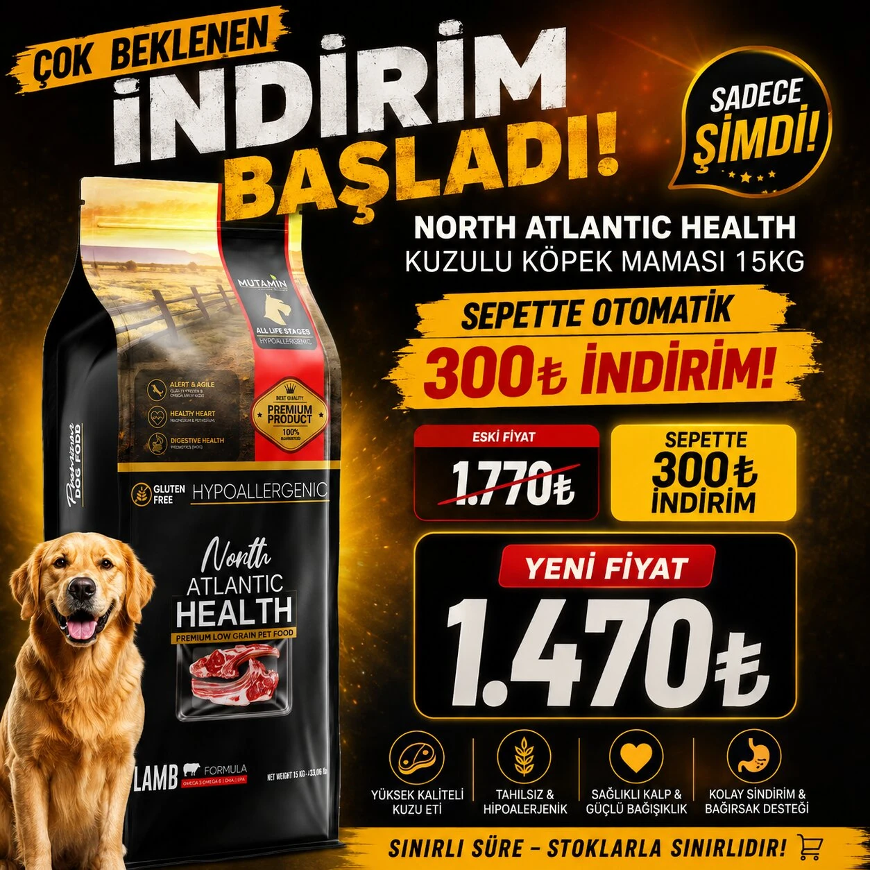 North Atlantic Health Kuzulu Köpek Maması 15KG - Hipoalerjenik ve