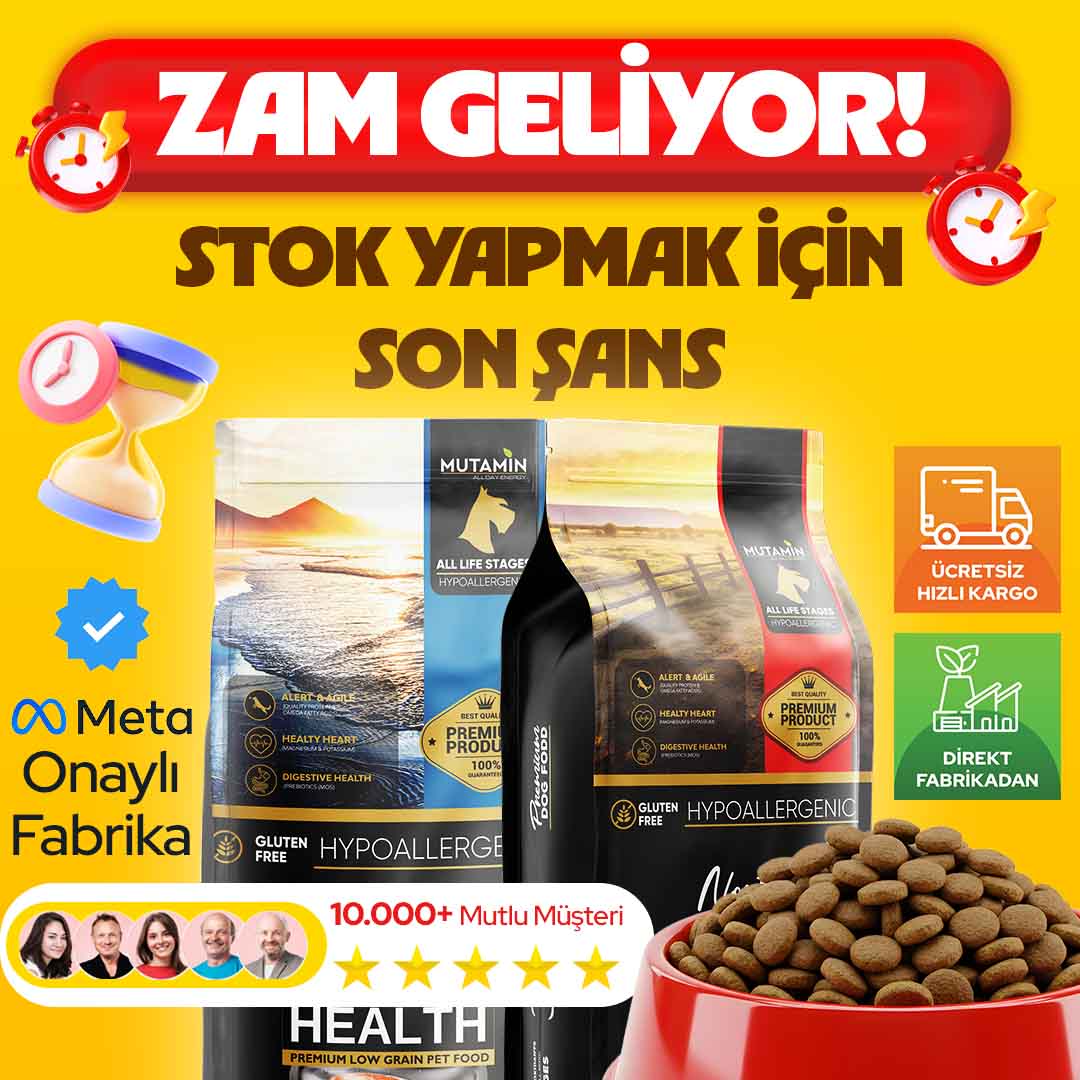 Kuru Köpek Maması