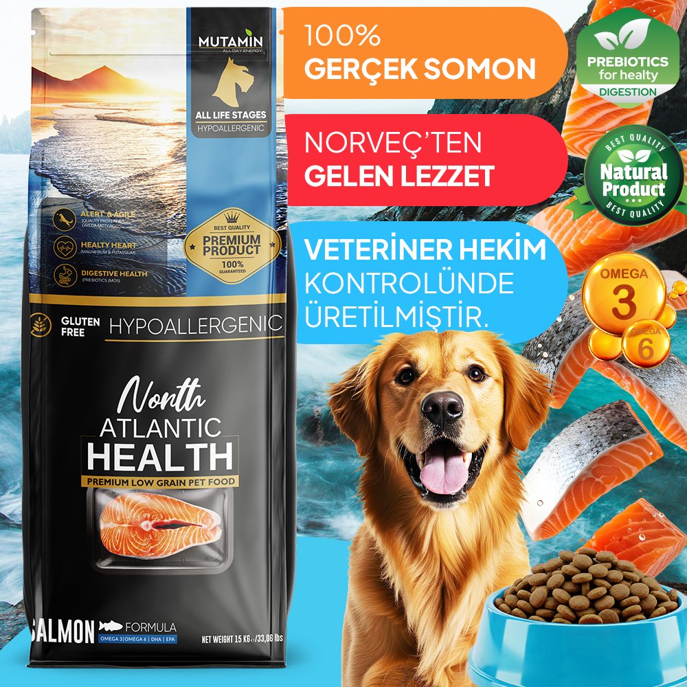 North Atlantic Health Somonlu Köpek Maması 15KG - Hipoalerjenik ve Prebiyotikli