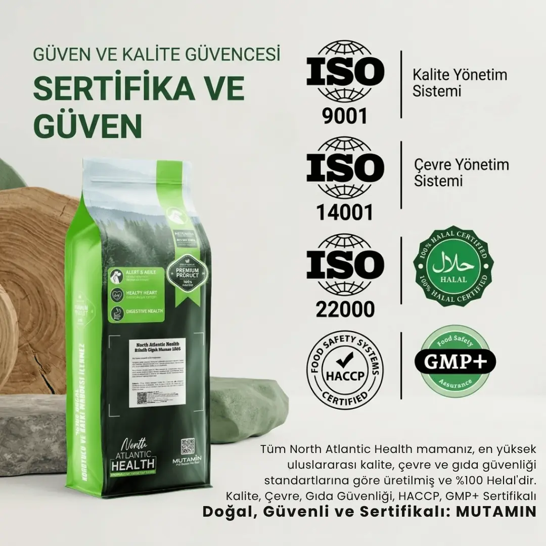 North Atlantic Health Biftekli Köpek Maması 15KG