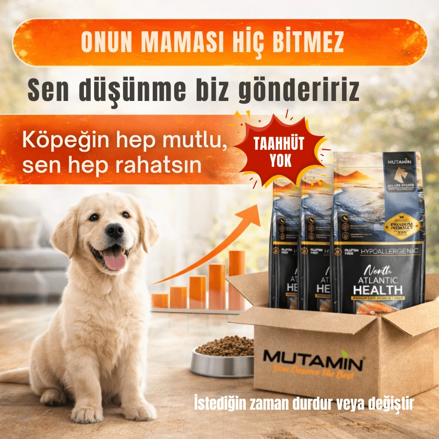 North Atlantic Health Somonlu Köpek Maması 15KG - Hipoalerjenik ve