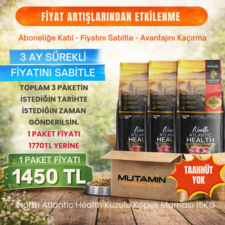 North Atlantic Health Somonlu Köpek Maması 15KG - Hipoalerjenik ve