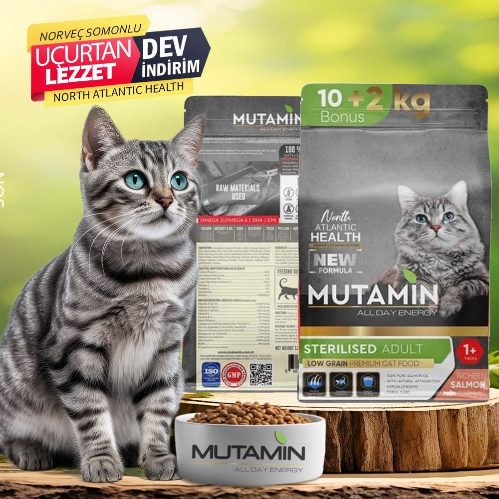 North Atlantic Health Somonlu Kısır Kedi Maması Kilitsiz Poşet 10+2 kg Hediye