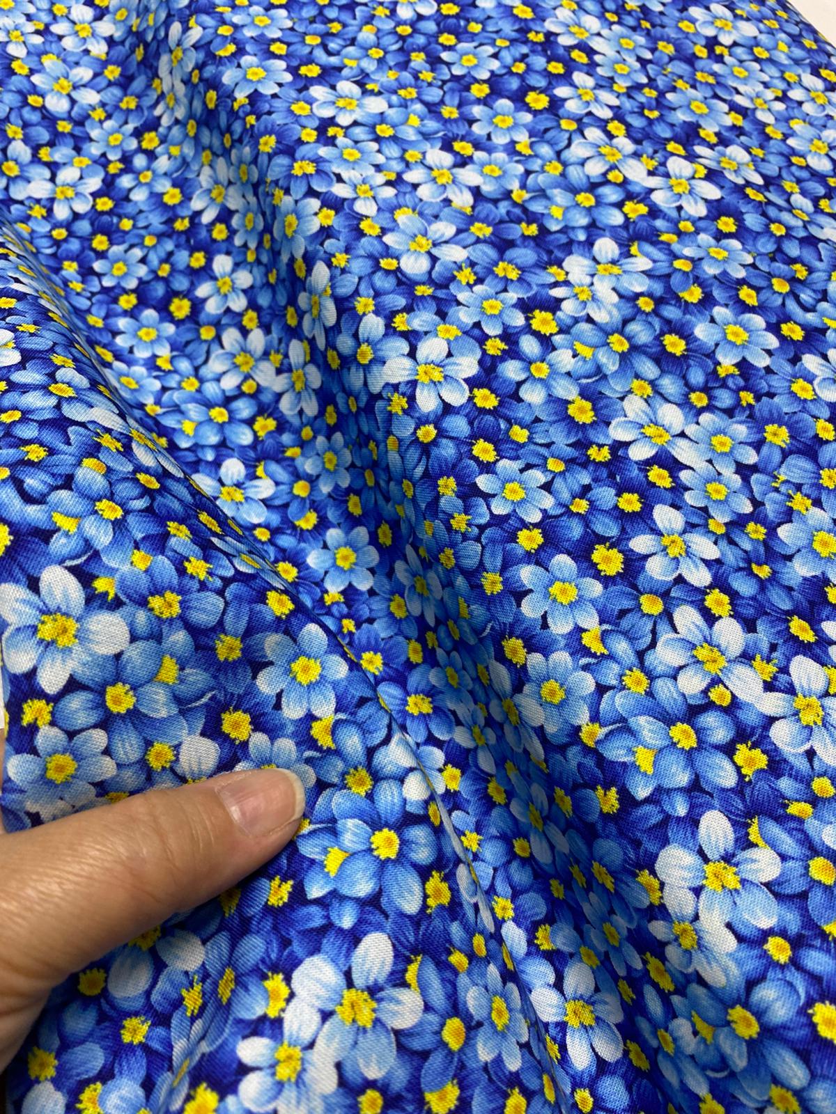 TT| FRUIT-CD3447-BLUE