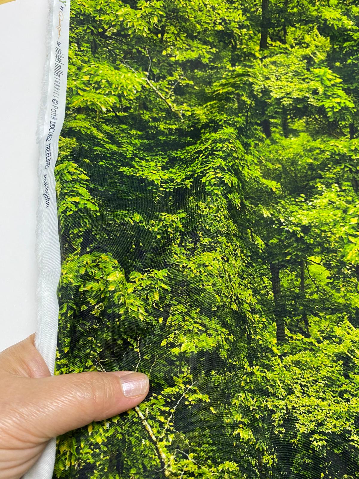 MM| NORTH COUNTRY-DDC12452-TREELINES