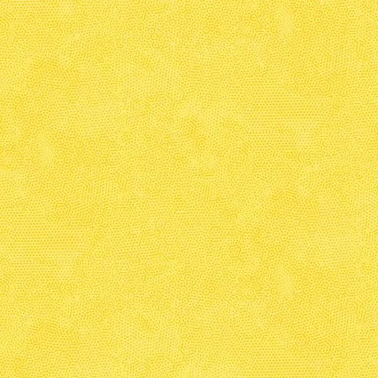 AN| Y3-DIMPLES SUNNY