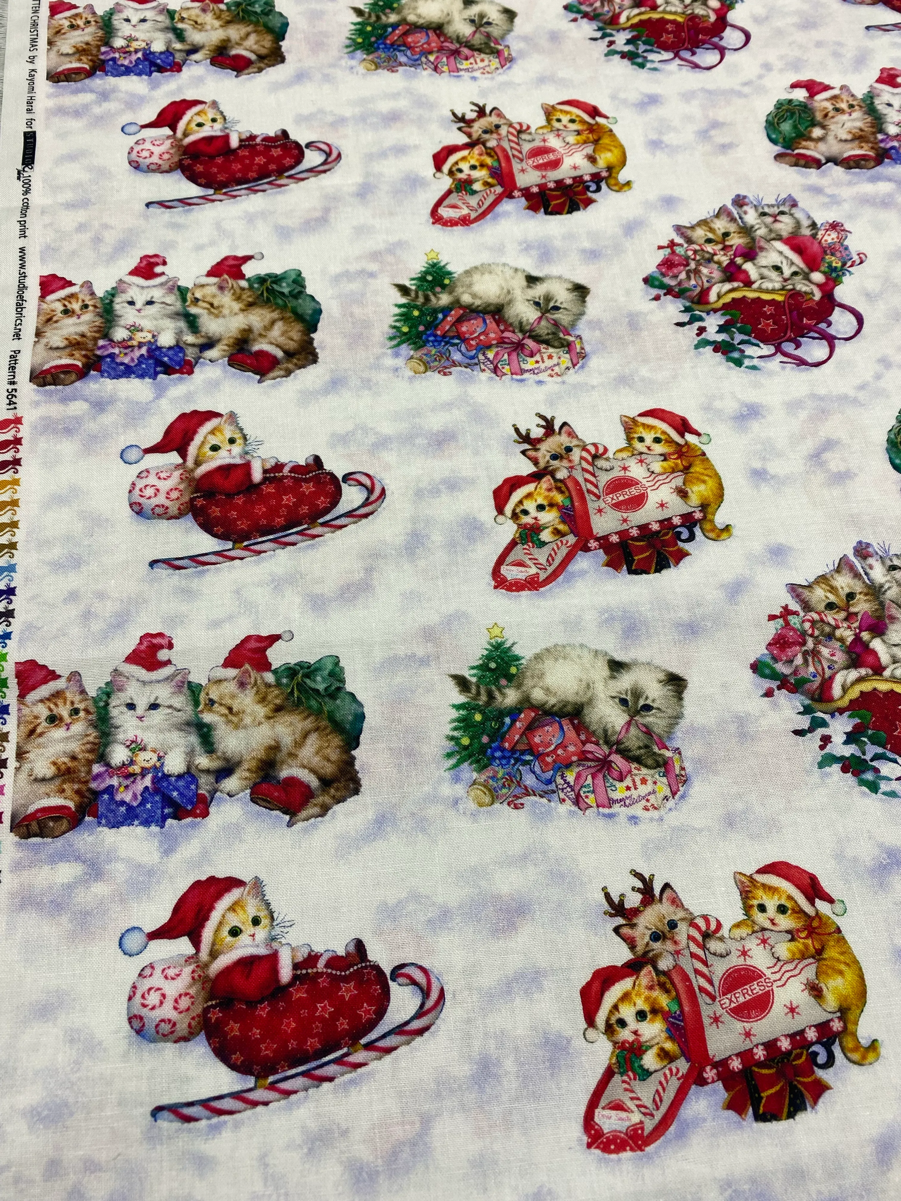 KITTEN CHRISMAS- 50CM X 110CM