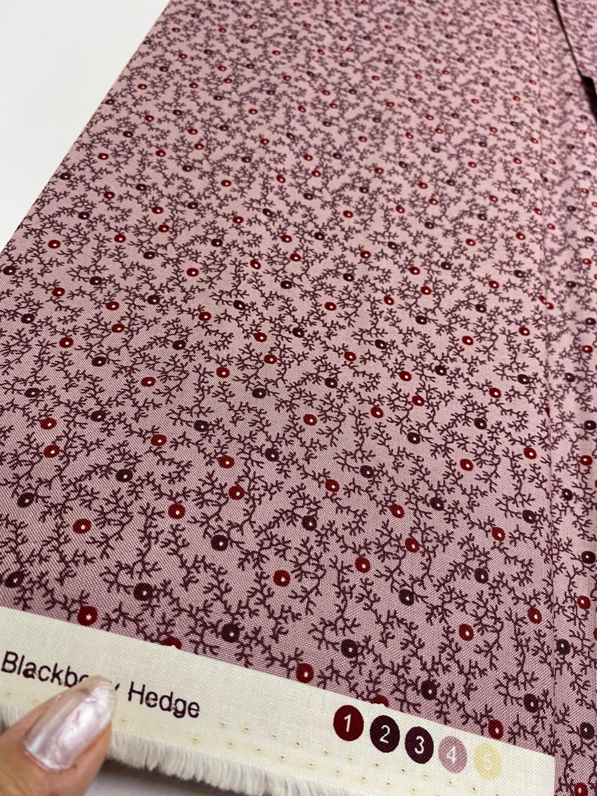 EQP-CONTEMPORARY CLASSICS-Dove-Balckberry Hedge